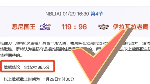 多支球队对武切维奇展现出极大关注